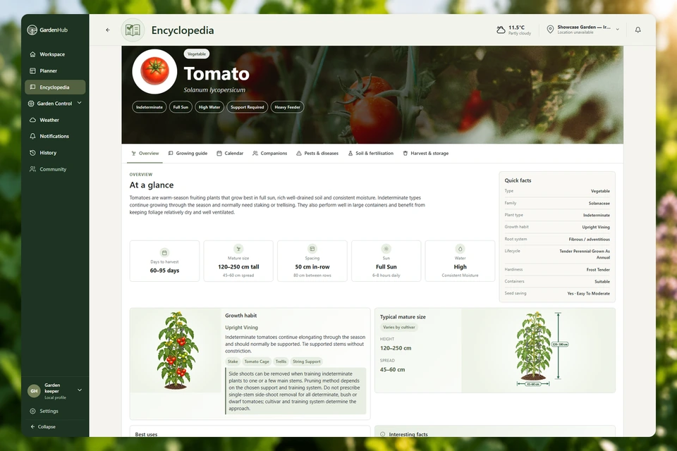 Aktuelle Tomaten-Enzyklopädie mit Banner, Pflanzeninformationen, Fakten und Pflanzenillustrationen.